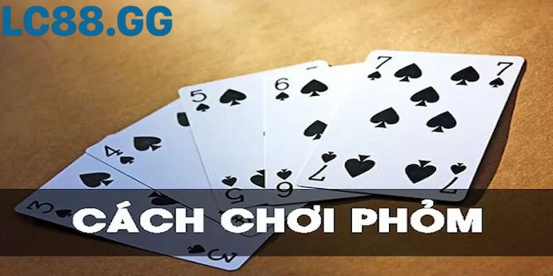 Hướng dẫn cách chơi Phỏm (Tá Lả) chi tiết từ A-Z cho người mới Chiến thuật "câu bài" và "xé cạ" đòi hỏi kinh nghiệm