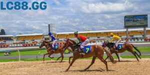 Hướng dẫn đặt cược đua ngựa từ A-Z