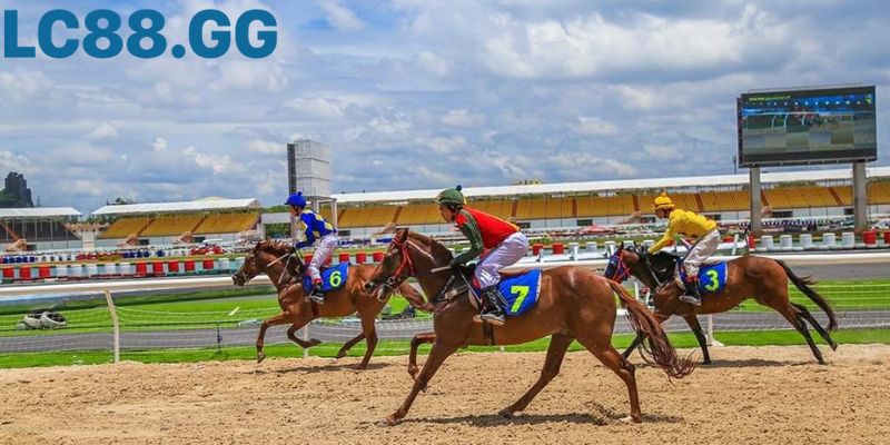 Hướng dẫn đặt cược đua ngựa từ A-Z